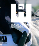 Walnut Hill Equine Vet’s 