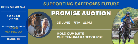 Fundraising for Saffron 
