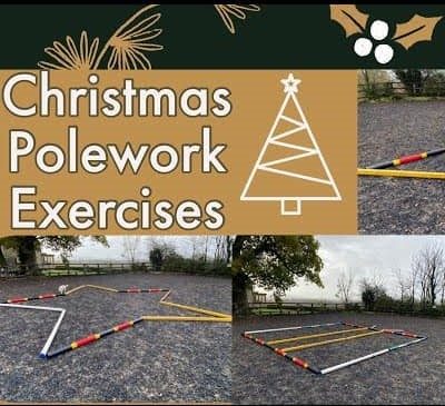 Xmas Polework 3