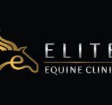 Elite Equine Clinic