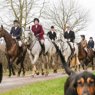 hounds and group winter